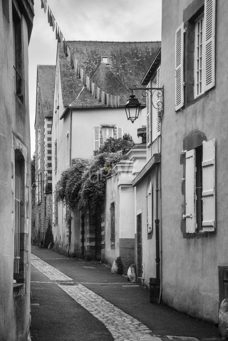 Ruelle